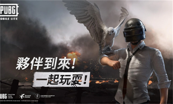 绝地求生轻量版体验服下载
