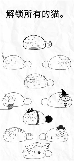 살찐 고양이 살찐 고양이