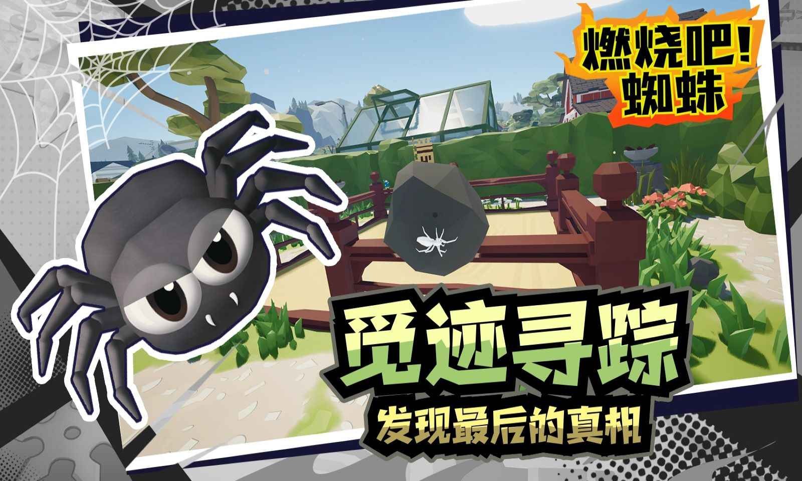 燃烧吧蜘蛛 燃烧吧蜘蛛