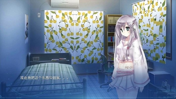 Lucy安装器