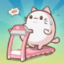 奔跑小猫 奔跑小猫