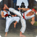 格斗大师