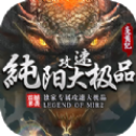 纯阳攻速大极品