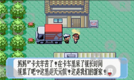 口袋妖怪漆黑的魅影DP5