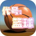 代号：篮球