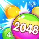 特别的2048