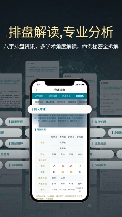 论玄(ai八字排盘软件) v2.9.0 安卓版