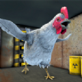 Chicken Feet : Scary Horror