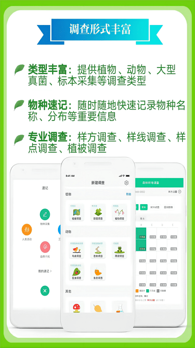 北极花生物调查