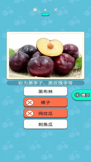 糖果大大卷 糖果大大卷