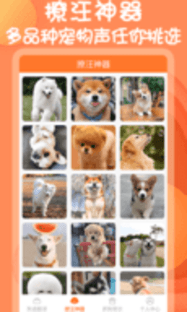 小铃铛狗语翻译器 小铃铛狗语翻译器