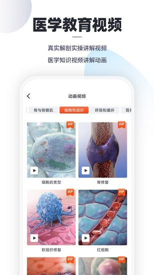 口袋解剖 口袋解剖