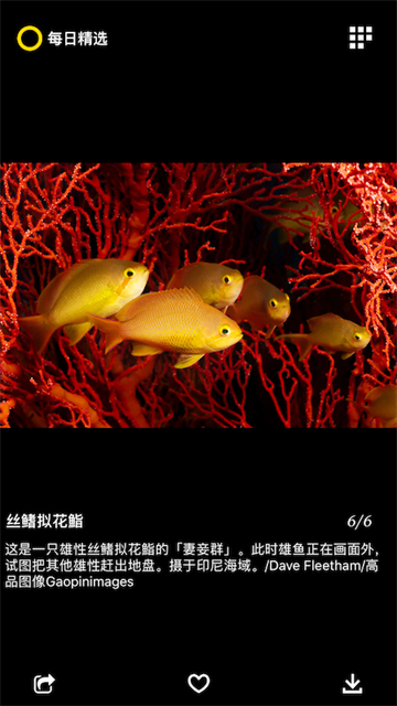 每日精选官方版