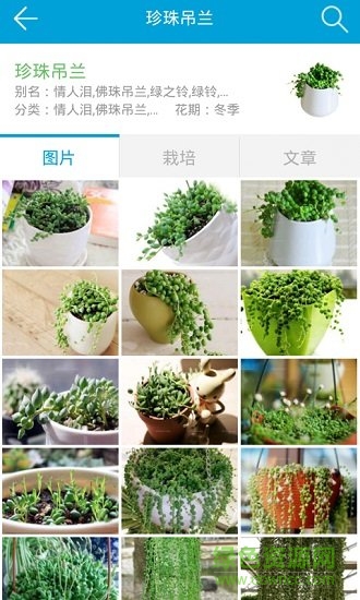 护花网