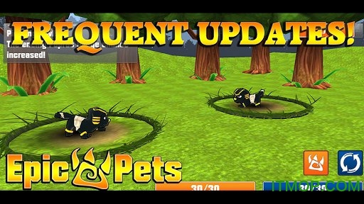 史诗宠物(Epic Pets)