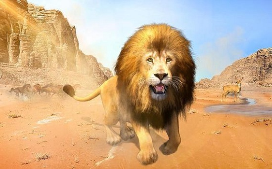 野生动物狙击手狩猎游戏 野生动物狙击手狩猎游戏