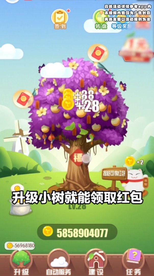 开心果园 开心果园