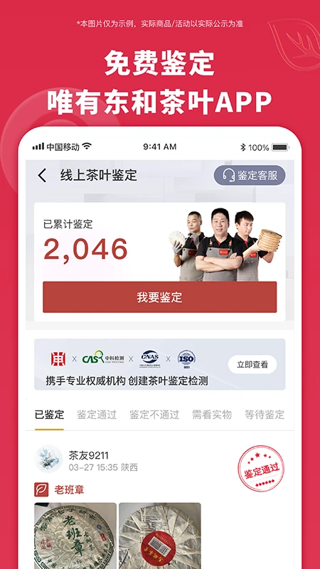 东和茶叶