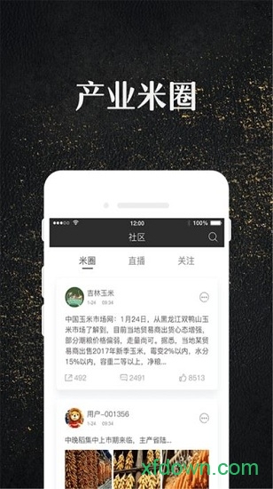 玉米宝 玉米宝