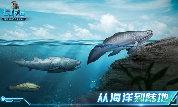 生命简史