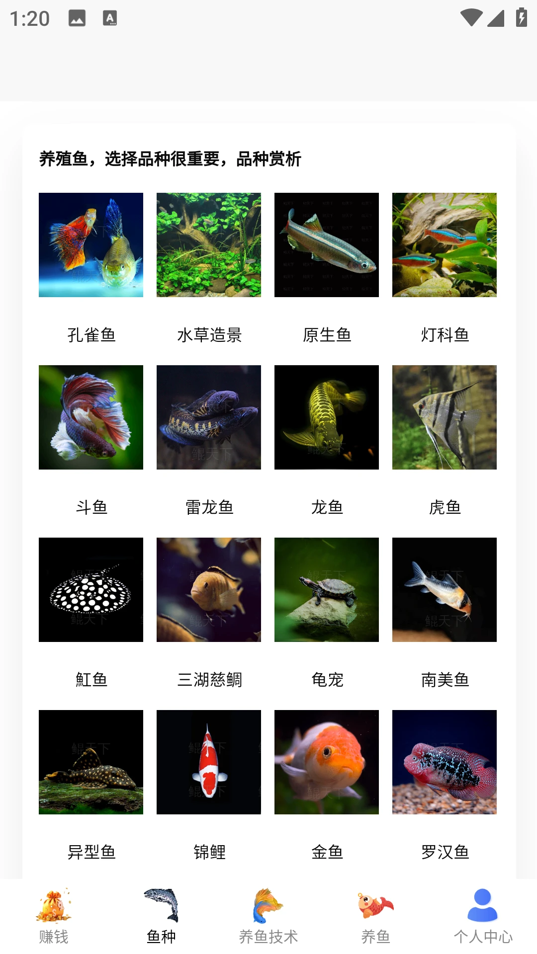 兼职养鱼赚钱 兼职养鱼赚钱