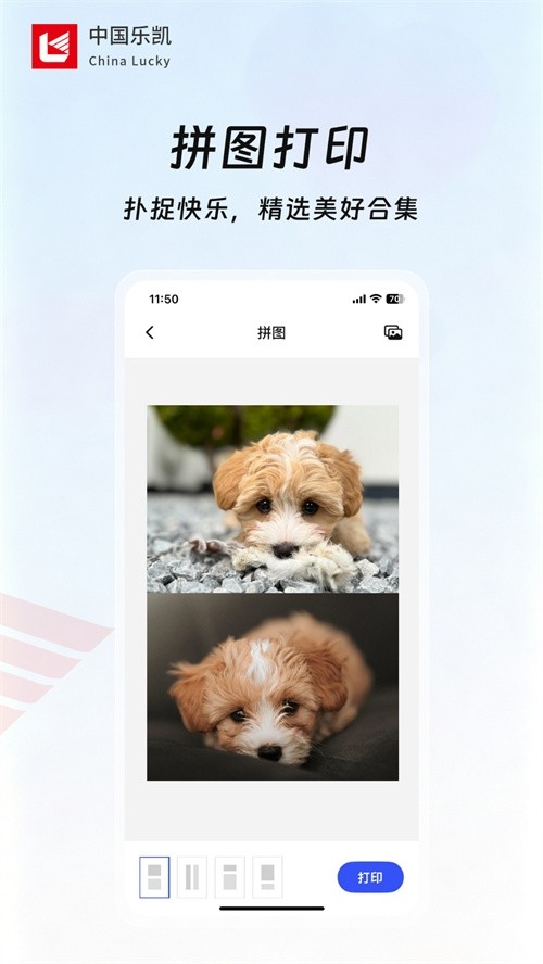 乐凯乐印
