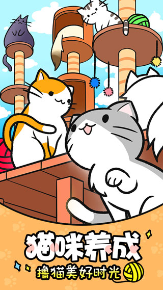 猫咪公寓 猫咪公寓