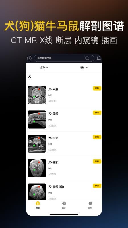 兽医解剖图谱