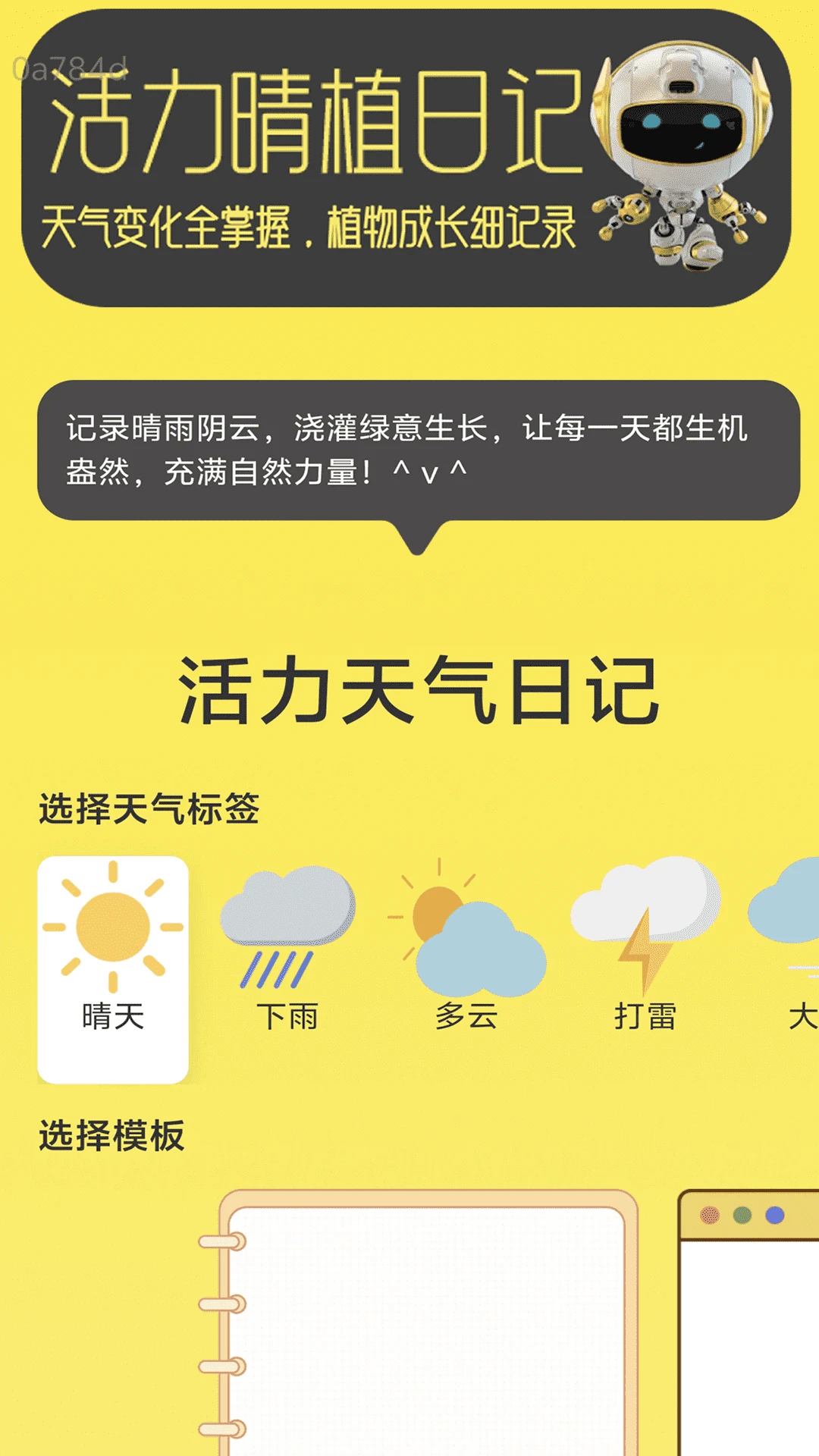 活力流量王