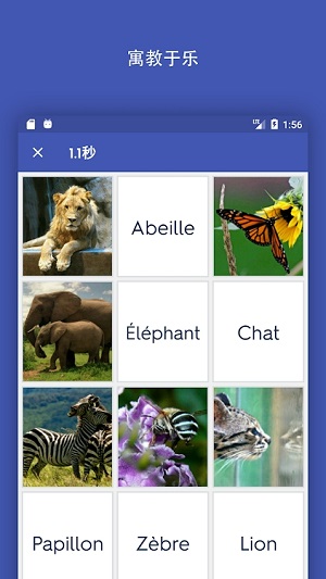 quizlet官方版app