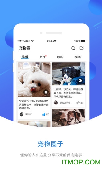 犬易智能宠物管家 犬易智能宠物管家