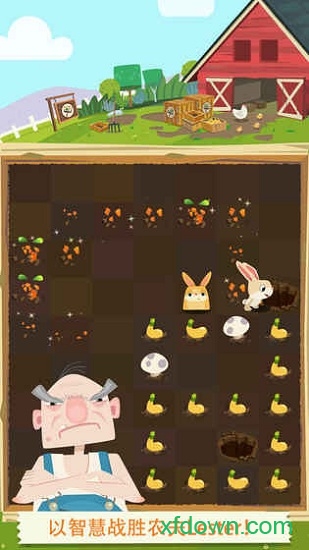 迷失的兔子 迷失的兔子