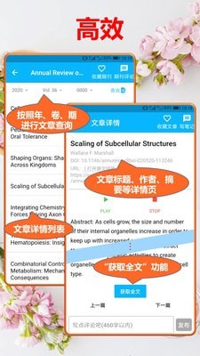 文汇