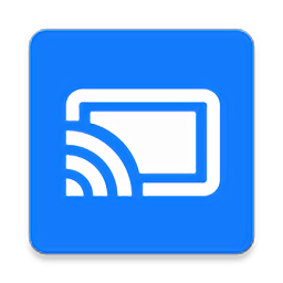 蓝莓投屏TV