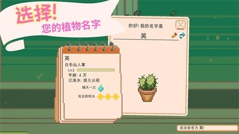 Window Garden安装器