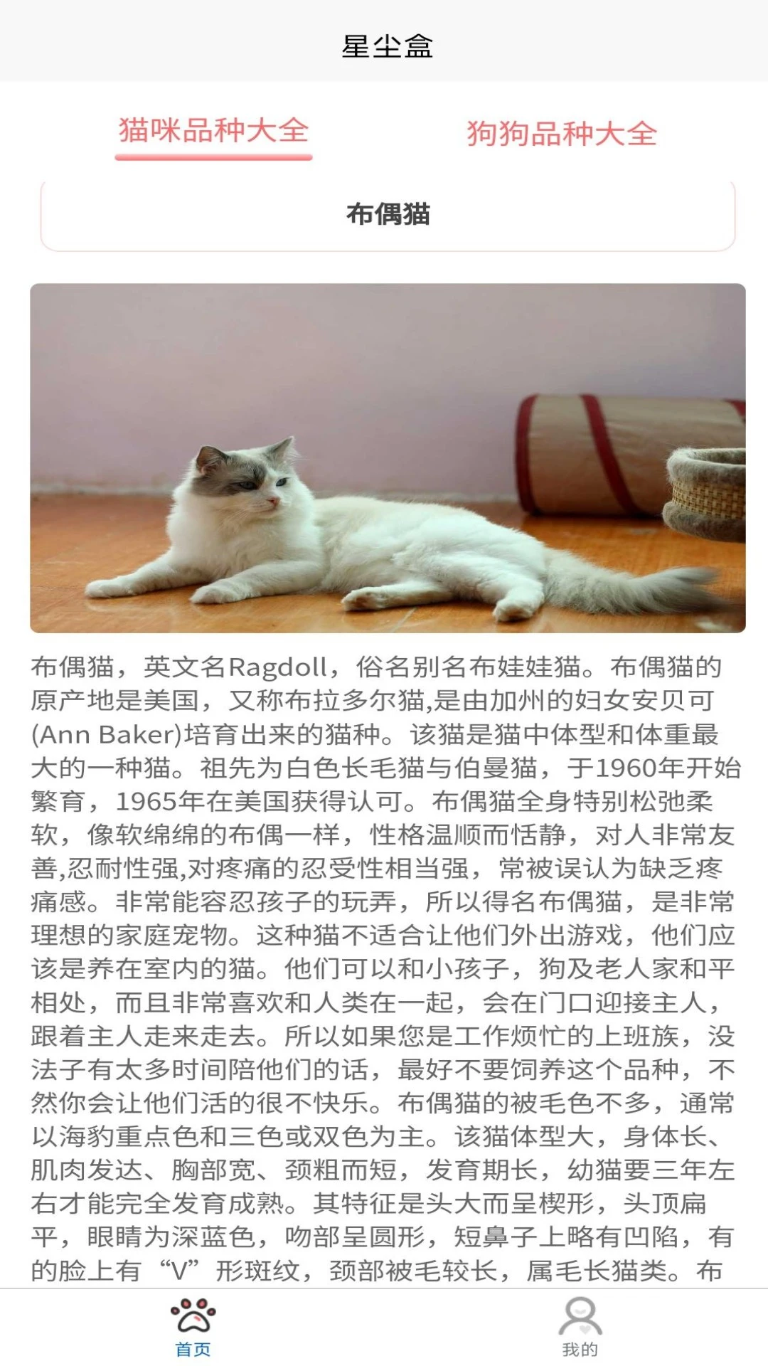 星尘盒