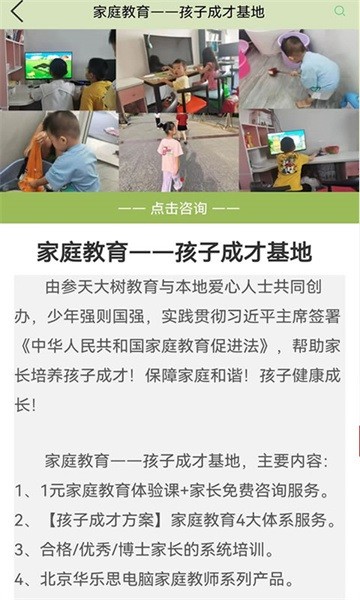参天大树