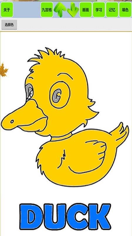 宝宝识动物汽车画画 宝宝识动物汽车画画