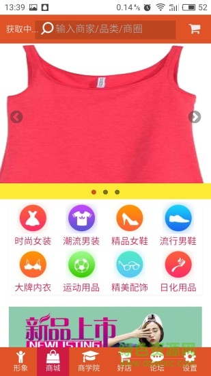 龙形凤象