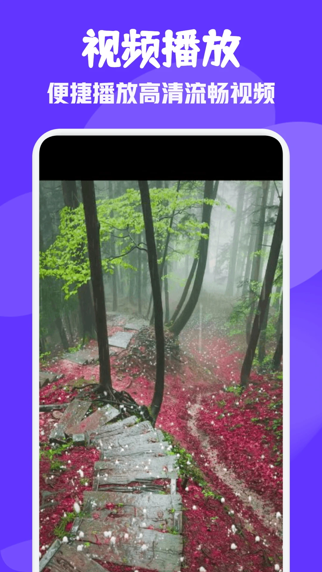 雨林影视
