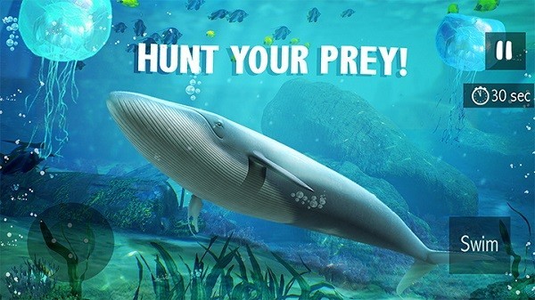 蓝鲸生存模拟器游戏(Blue Whale Simulator)