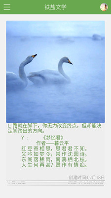 铁盐文学
