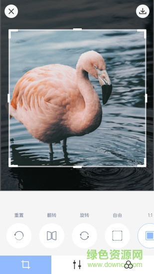 大片相机macaron film