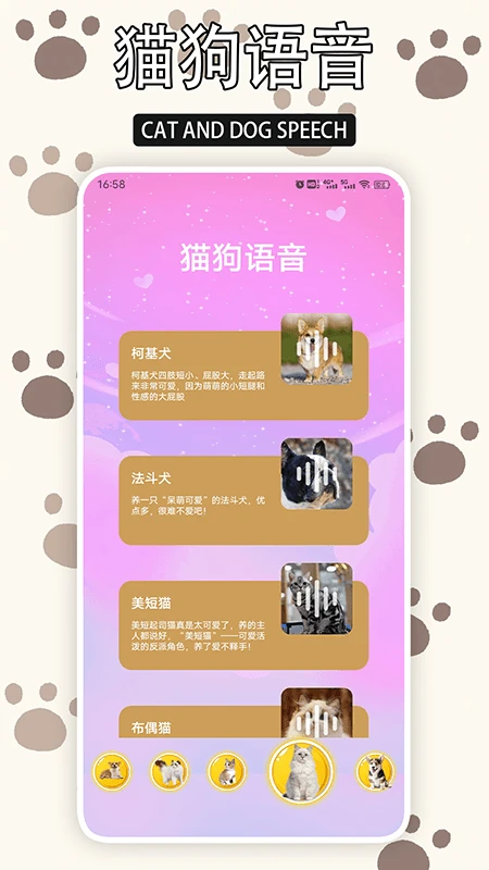 爱游猫