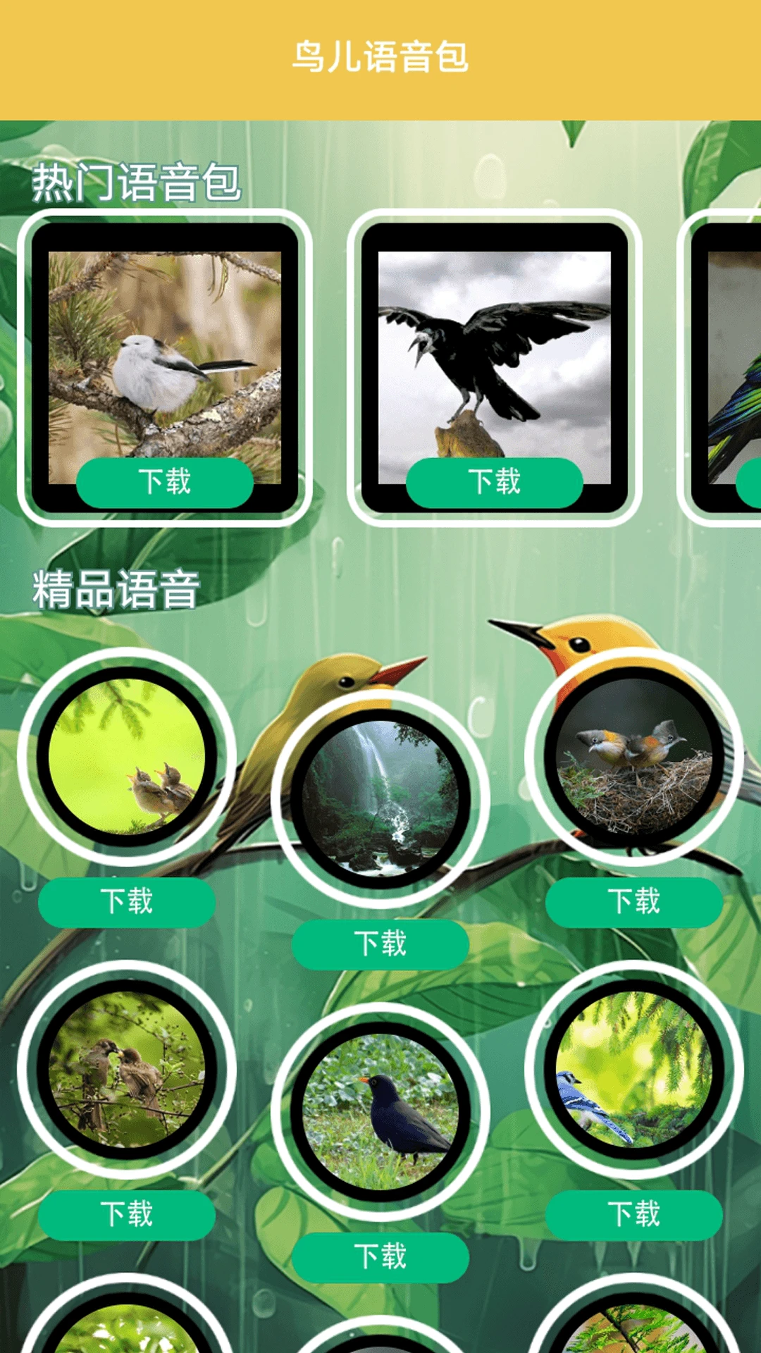 孤独的茑儿