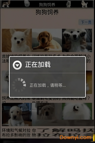 宠物狗狗 宠物狗狗