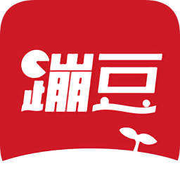 蹦豆实习