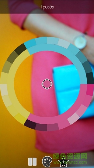 实时调色板live palettes