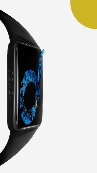 honorband6手环app