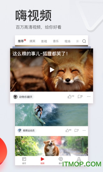 网易新闻头条版 网易新闻头条版